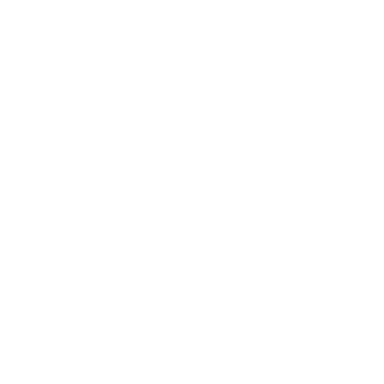 Dyon