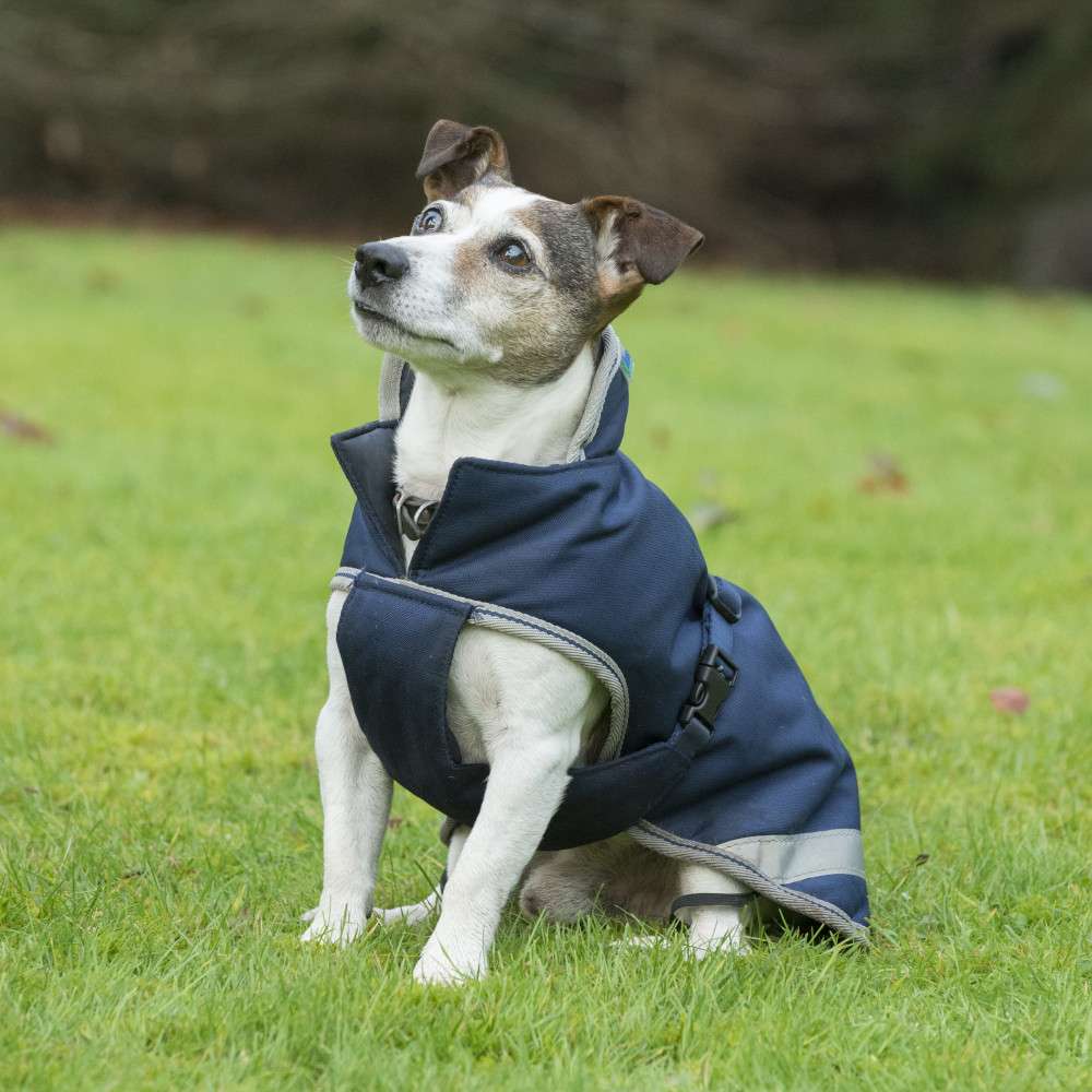 wolke 7 plus hundebett Wolke 7 Plus