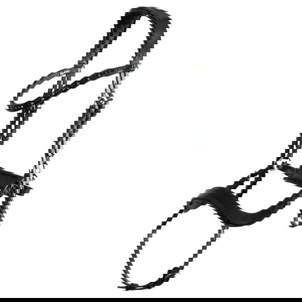 BR Bridle Mirfield, Special Bridle