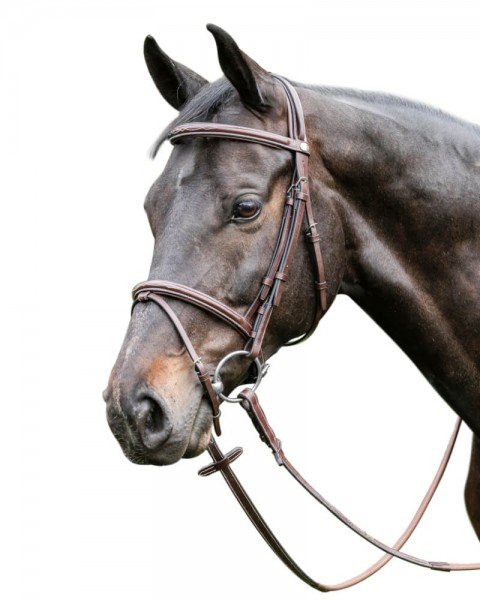 Prestige Italia Snaffle Bridle E37, English Combined, Cambered, without Reins