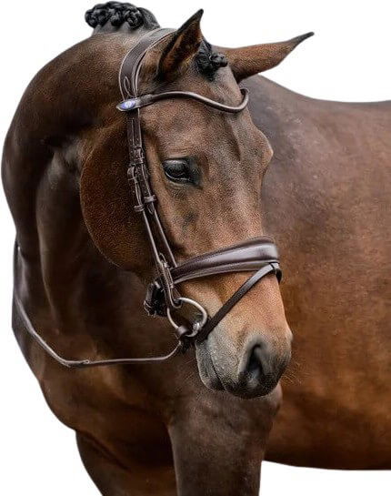 PS of Sweden Bridle GP, Swedish Noseband, Round-Stitched, without Reins