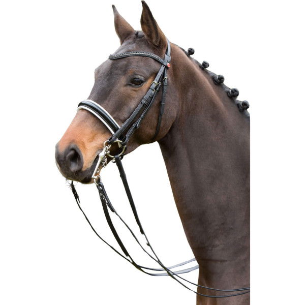 Kieffer Double Bridle Paris, Swedish Noseband, Patent, with Reins