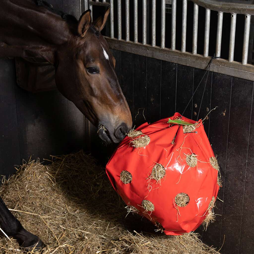 busy horse hay bag