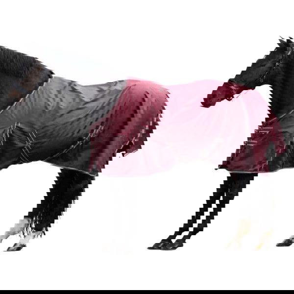 Imperial Riding Outdoor Rug IRHBasic, 200 g, Winter Rug