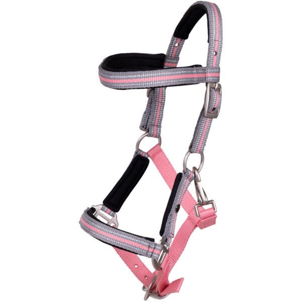 QHP Foal Halter Flore with Browband