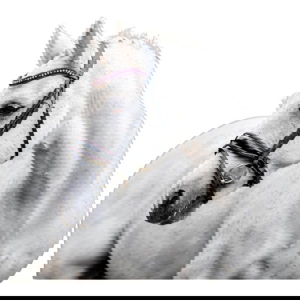 Horseware Trense Pony Diamante Flash HW25, schwedisch kombiniert, ohne Zügel