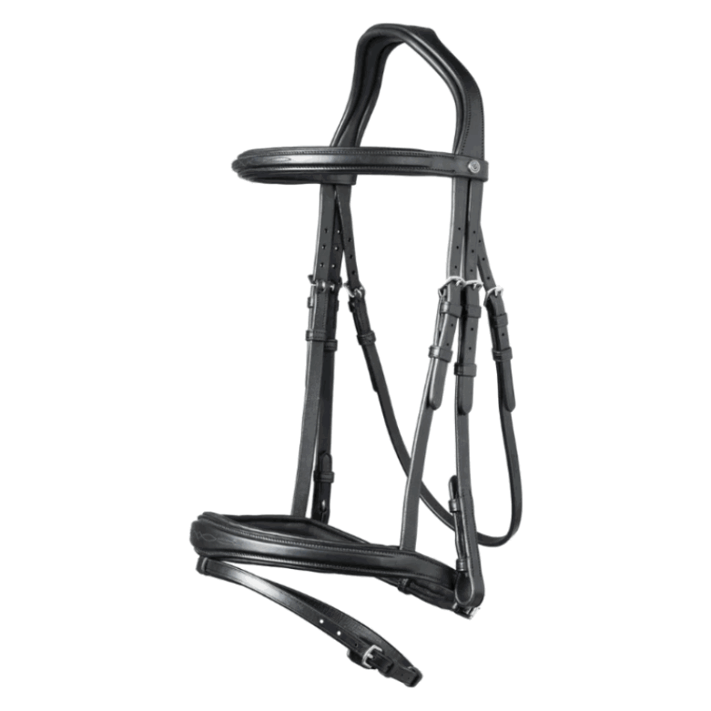 Trust Trense Amsterdam, englisch kombiniert