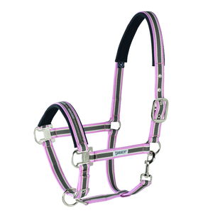 Eskadron Halfter Pin Buckle, mehrfarbig, Nylonhalfter Eskadron Halfter Pin Buckle, mehrfarbig, Nylonhalfter