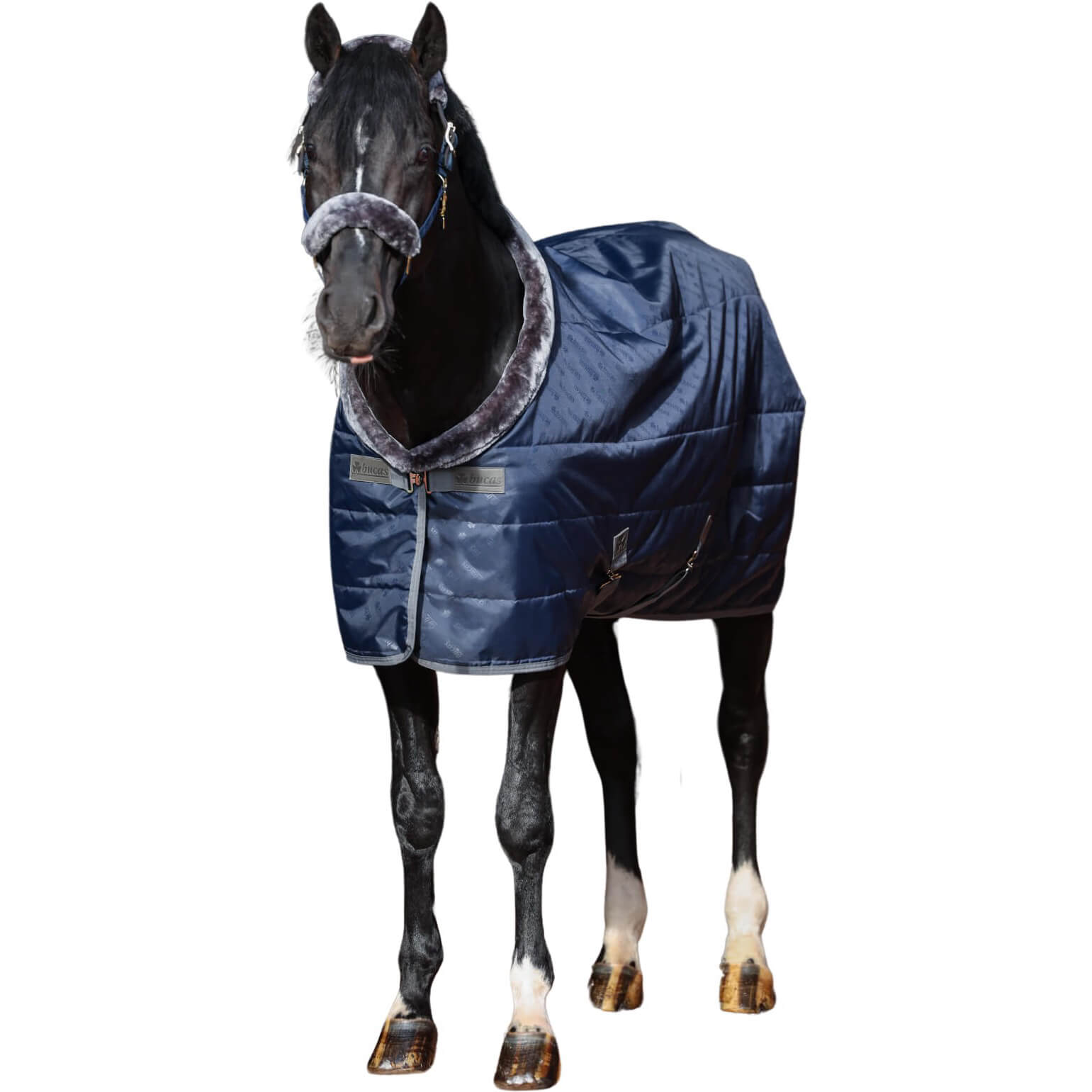 Bucas Stalldecke Show Line, 150 g, mit Kunstfellkragen