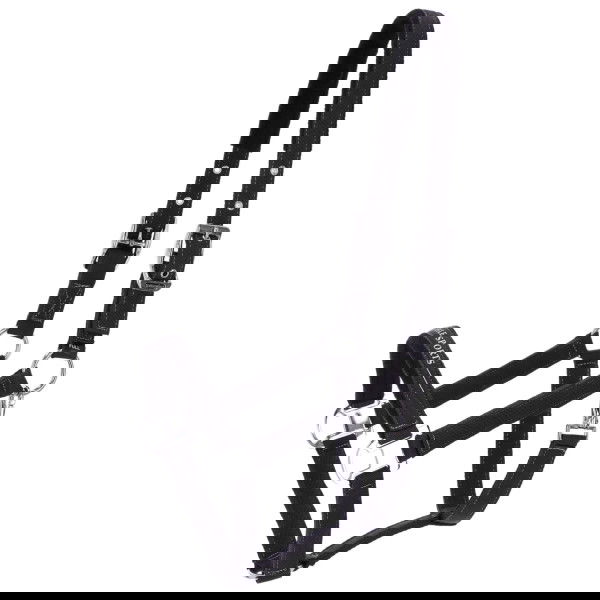 Schockemöhle Sports Halter SP Memphis Style III FW25, Nylon Halter