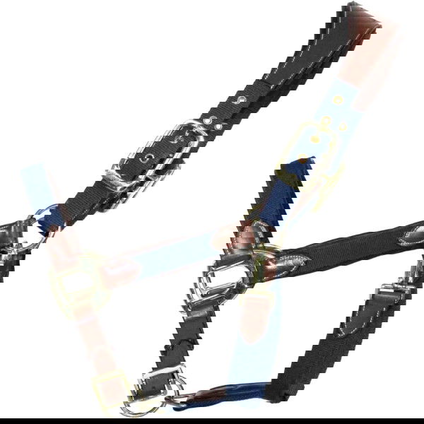 EQUEST Halfter Unique, Lederhalfter, Kombihalfter