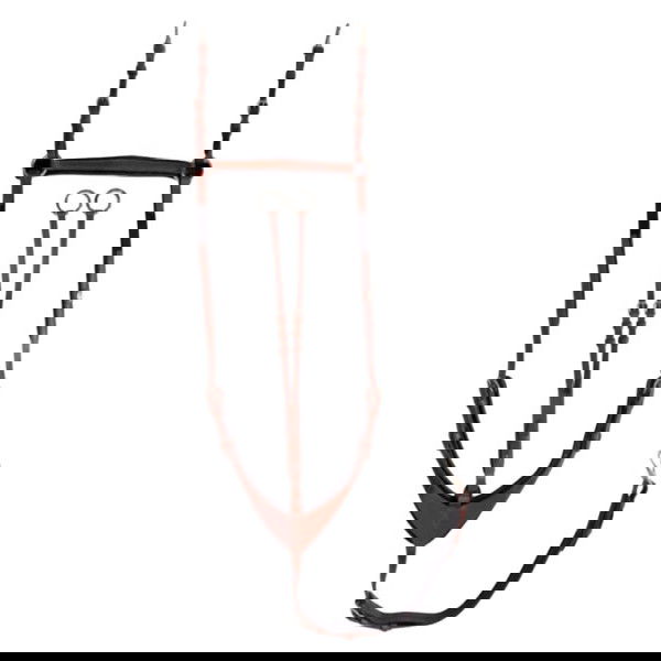 Kavalkade Breastplate Robin, 3-point, with Elast