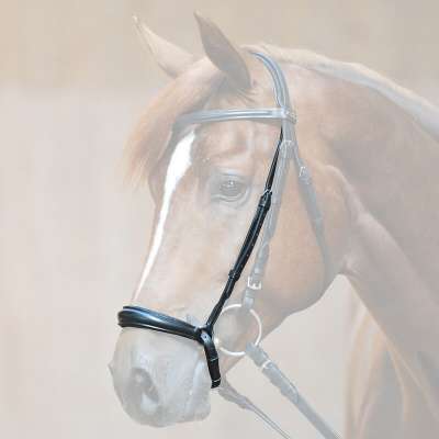 Kavalkade Dropped Noseband