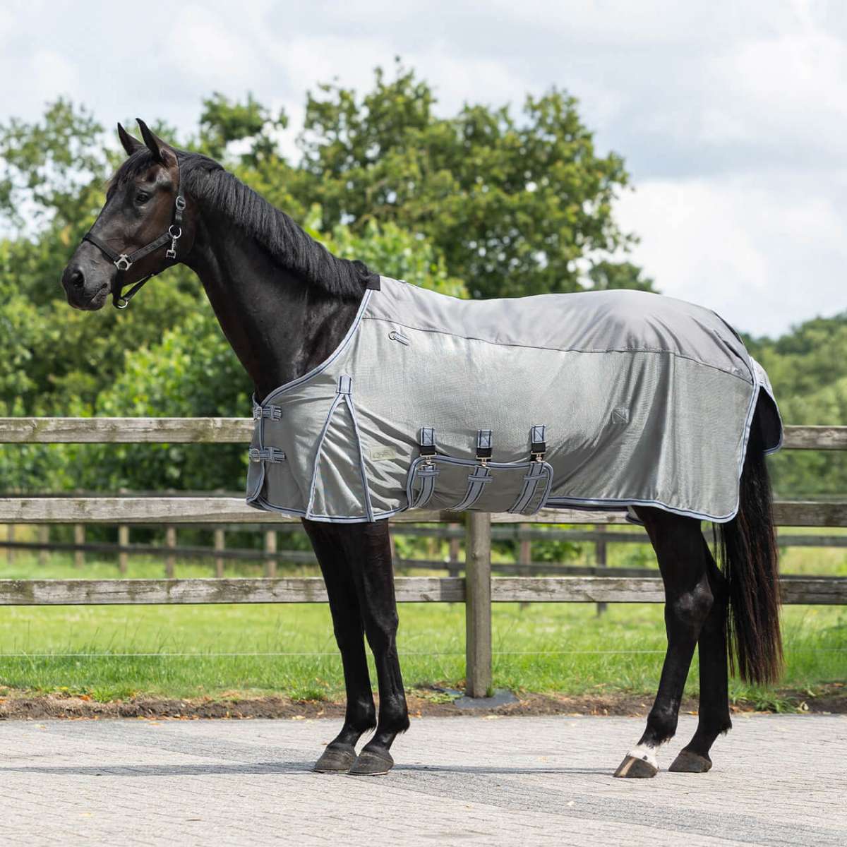 horse blanket research ジャガード　ジャカード　グレー QHP Rain Fly Rug Combo with Neck Piece | FUNDIS Equestrian