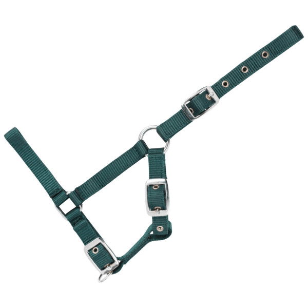 USG Halter, Foal Halter