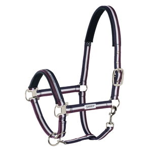 Eskadron Halfter Pin Buckle, mehrfarbig, Nylonhalfter Eskadron Halfter Pin Buckle, mehrfarbig, Nylonhalfter