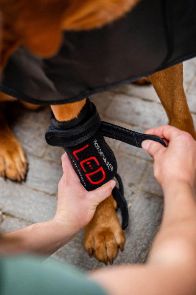 Horseware Therapiegamasche für Tiere LED Red Light Therapy HW25, Leg Wrap, LED Rotlichttherapie