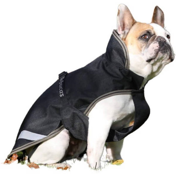 Bucas Dog Coat Freedom FW24, 150 g, Dog Jacket