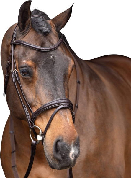 HV Polo Bridle HVPLegacy FW24, English Combined, with Reins