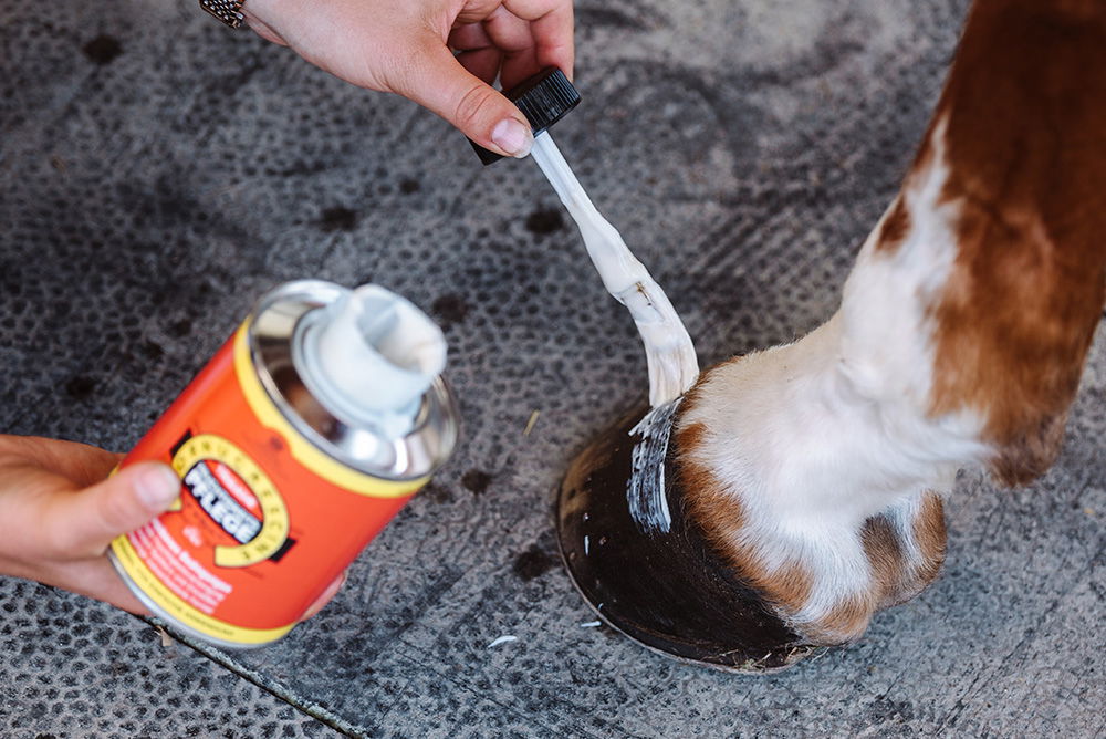 Horse Care Products FUNDIS Equestrian