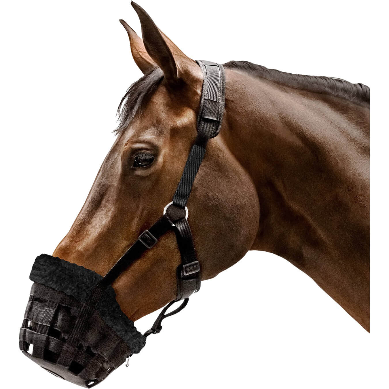 Waldhausen Fressbremse Comfort, Maulkorb