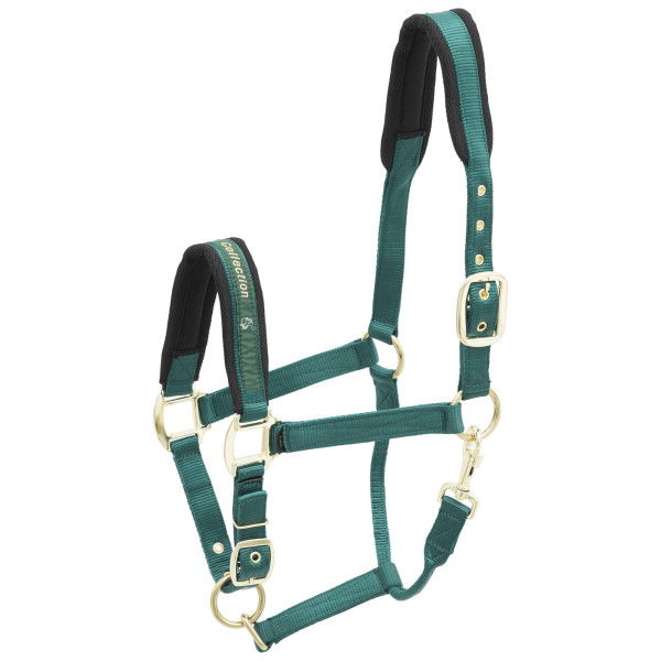 Kieffer Halter Nylon