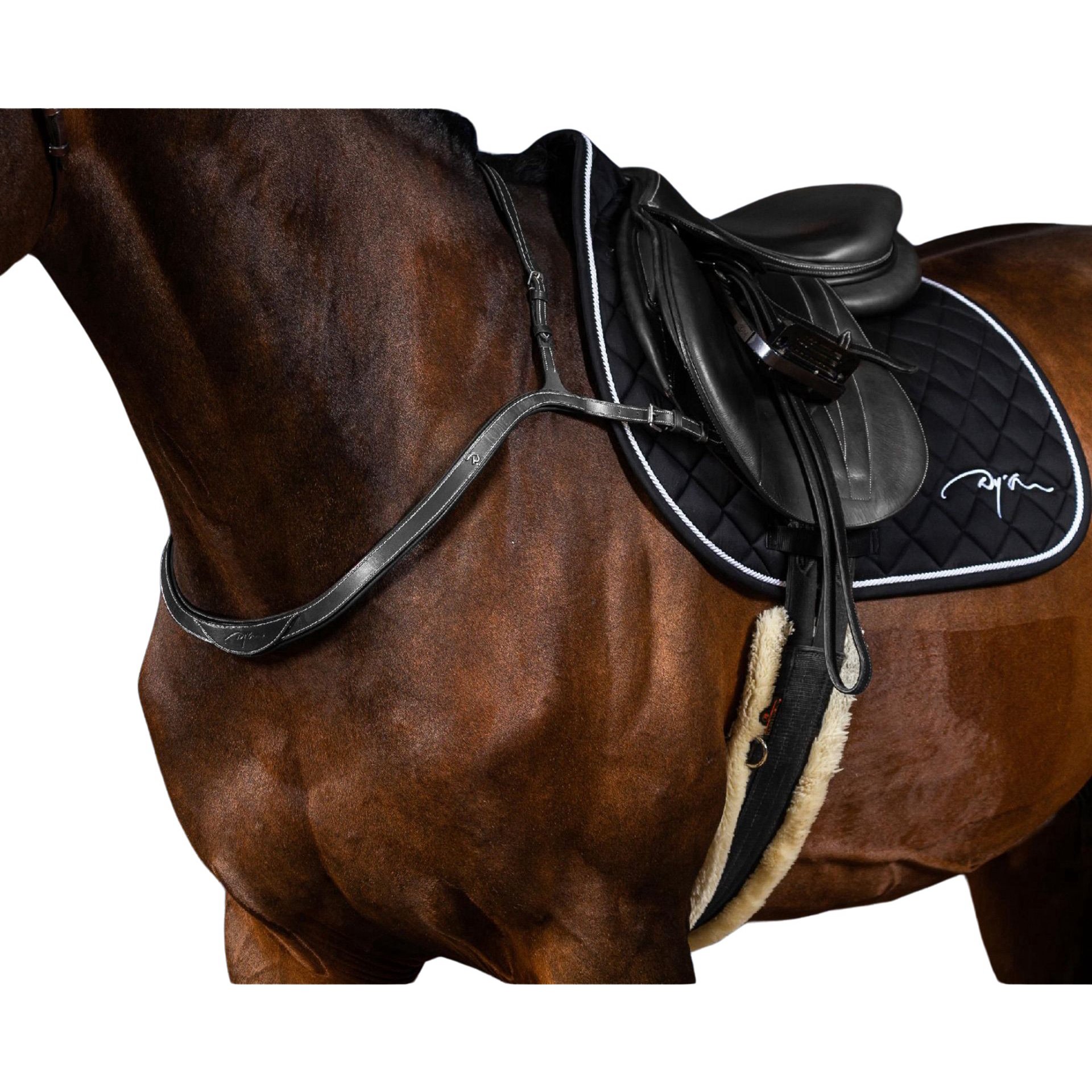 Dyon Breastplate US Collection | FUNDIS Equestrian