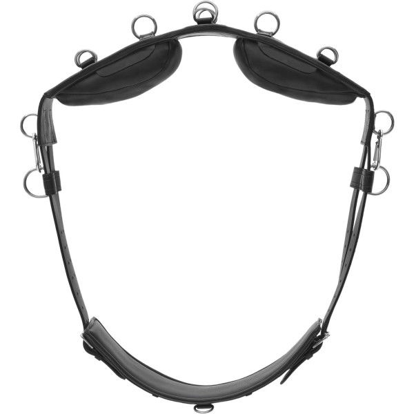 Kieffer Longiergurt Equishape Pro® mit Kopfeisen, mit Ringen