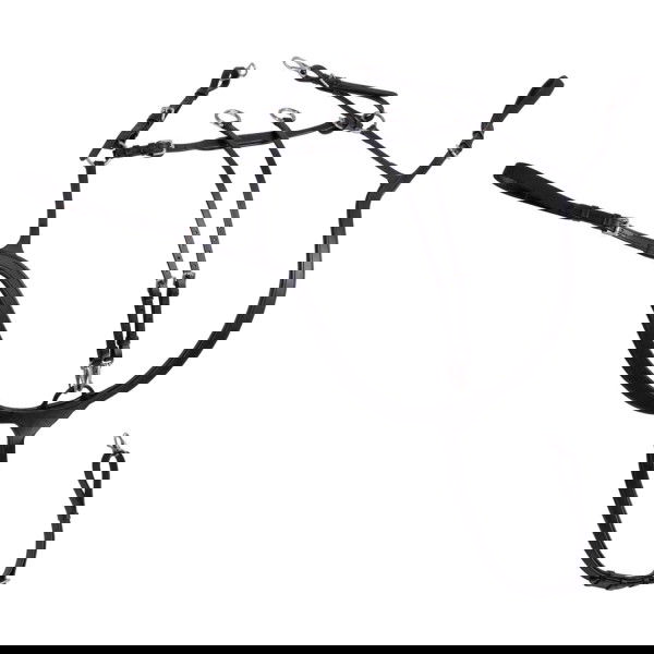 Sunride Breastplate Ascot, 5-point, 3-point