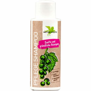 Bense & Eicke Pflege Shampoo Bense & Eicke Pflege Shampoo