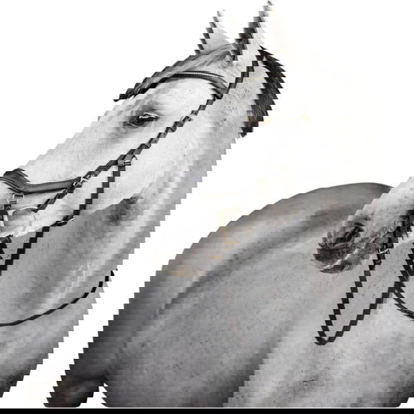 Horseware Trense Micklem 3 Diamante Competition Bridle, ohne Zügel