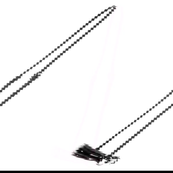 Kavalkade Reithalfter, hannoveranisch