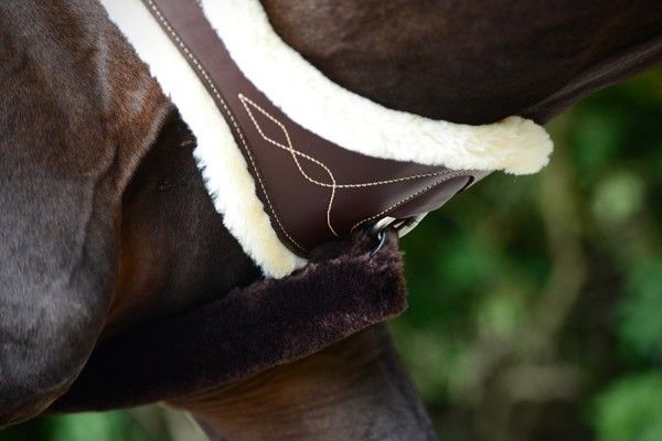 sheepskin_anatomic_girth_5__1483537425_438