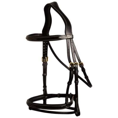 Dyon Bridle Flash DC, English Combined, without Reins