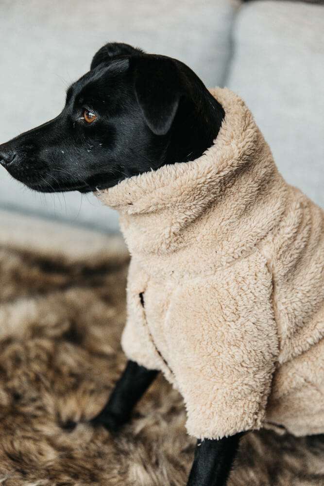 Kentucky Dogwear Hundesweater Teddy Fleece | FUNDIS Reitsport
