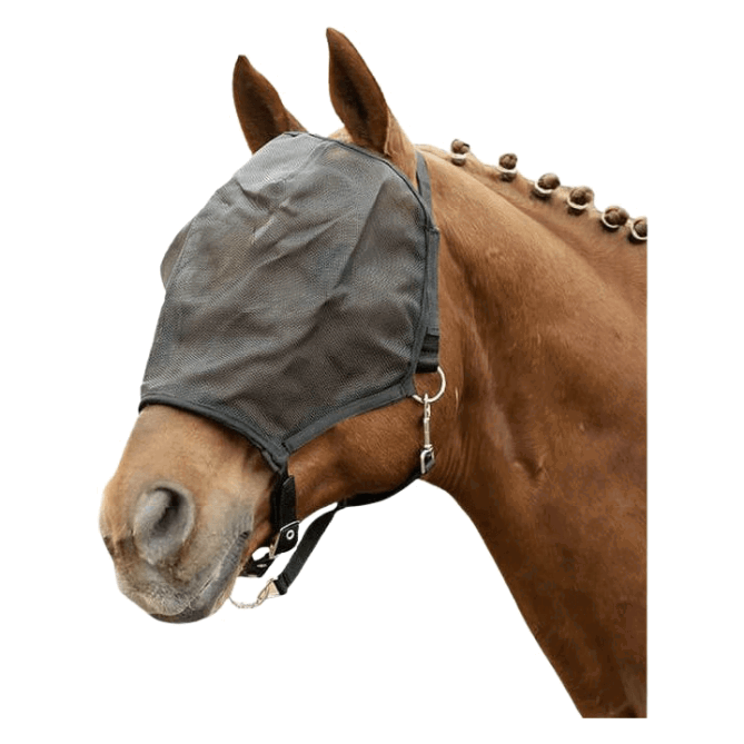 HKM Halfter mit integrierter Fliegenmaske, Fliegenmaskenhalfter