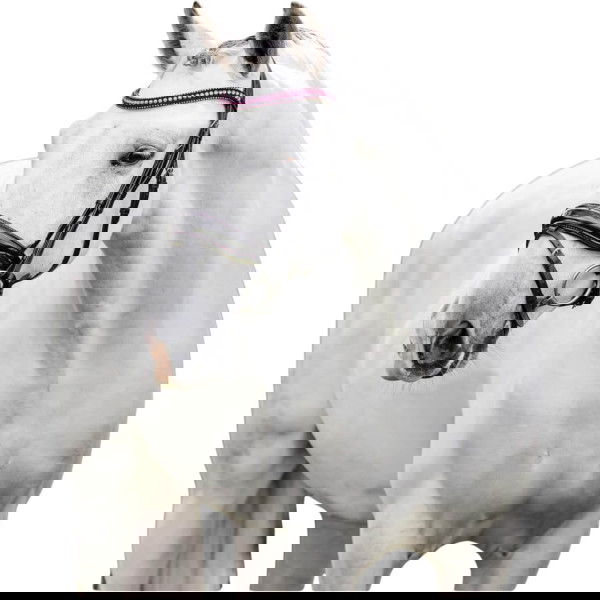 Horseware Bridle Diamante Flash FW25, Swedish Combined, without Reins