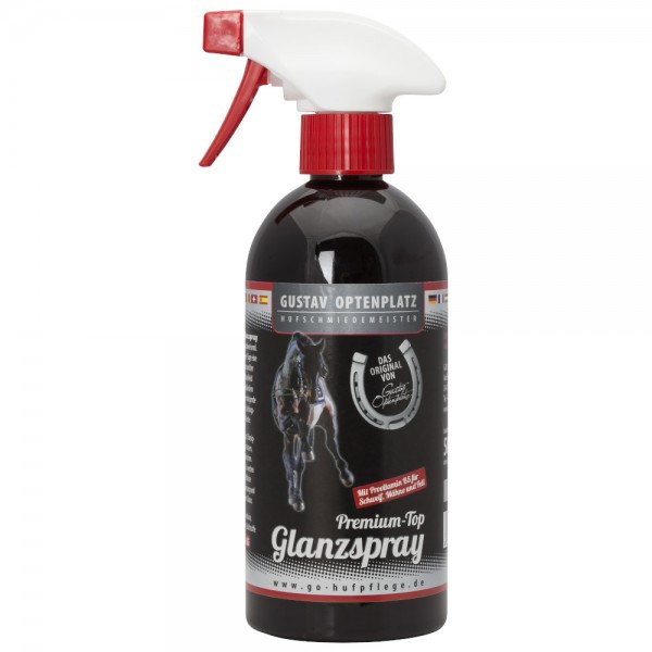 Glanzspray-500-mlijWpZaQx8Ij8n
