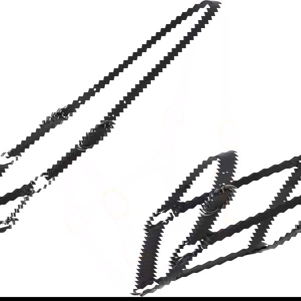 Imperial Riding Halfter Halfter IRHSuper-proof Matte HW25, Beschichtetes Nylonhalfter