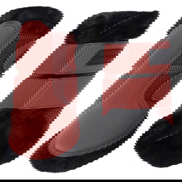 Covalliero Tendon Boots FW25, Soft Tendon Boots