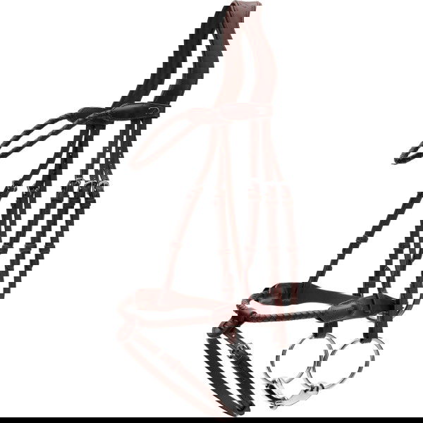 Dyon Bridle Braided NEC, English Combined