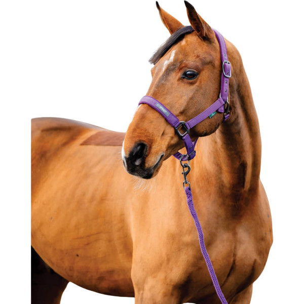 Horseware Halfter-Set Amigo, inkl. Strick