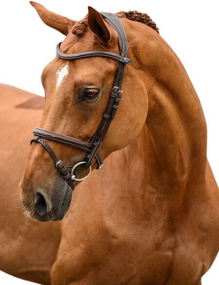 PS of Sweden Bridle Stockholm, English Combined, without Reins