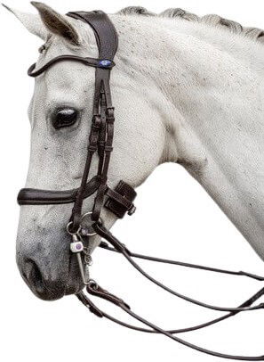 PS of Sweden Paragon Double Bridle, Swedish Noseband, without Reins