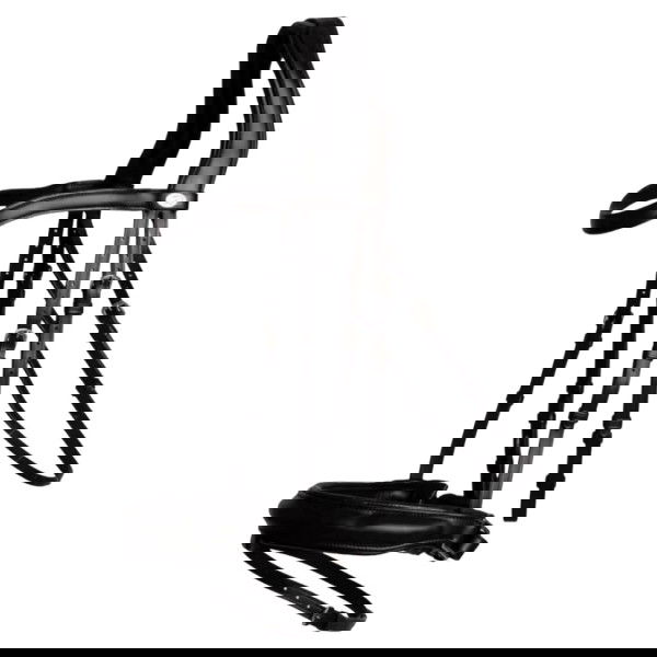 Dyon Trense Medium Soft Leather Collection, schwedisches Reithalfter, ohne Zügel