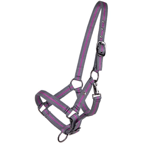 QHP Halter Collection SS24, Yearling Halter, Nylon Halter
