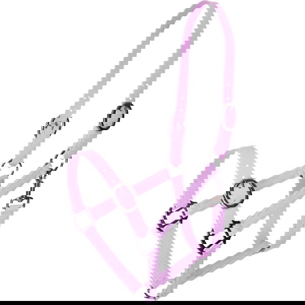 Imperial Riding Halfter Halfter IRHSuper-proof Glossy HW25, Beschichtetes Nylonhalfter