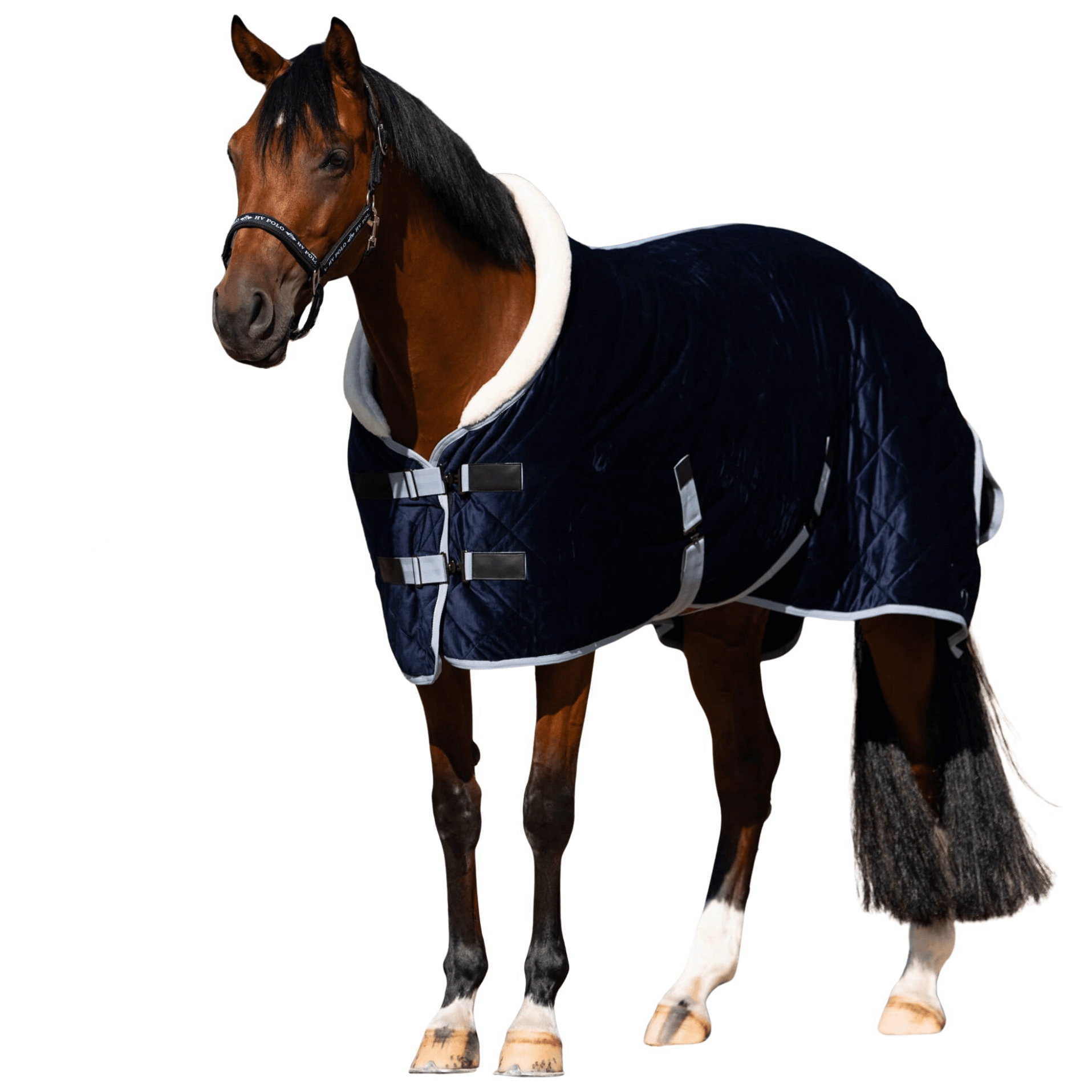 HV Polo Stalldecke HVPSacha Inbetween HW25, 0 g