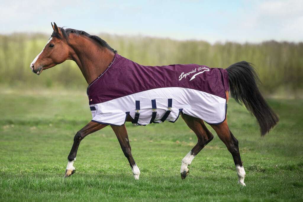 Coperta Sudorazione Jersey Cooler Imperial Riding IRHAmbient Flower Per Cavallo