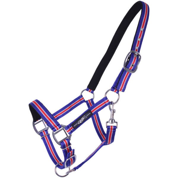 QHP Halter Icelandic, Nylon Halter